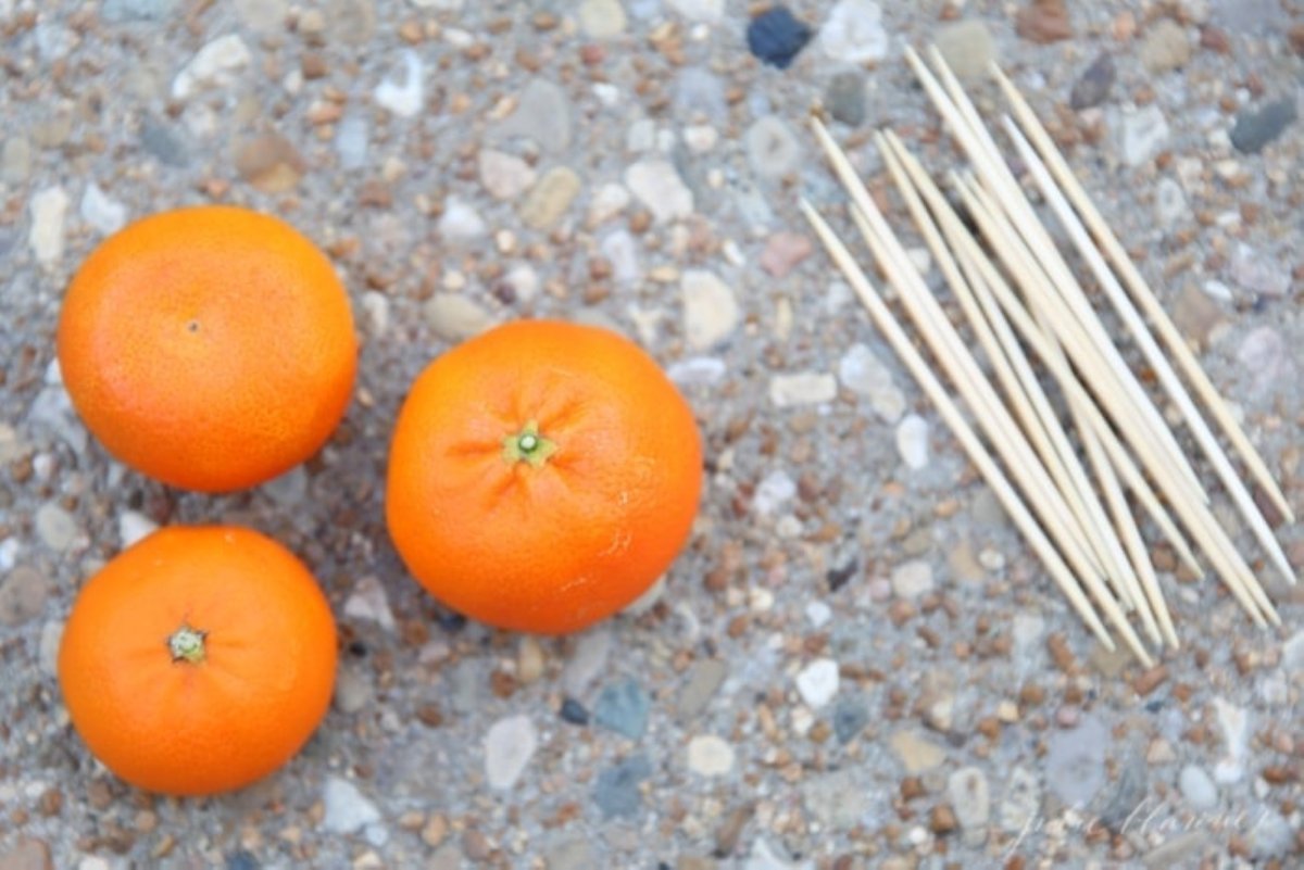 Clementine oranges next to wooden picks.
