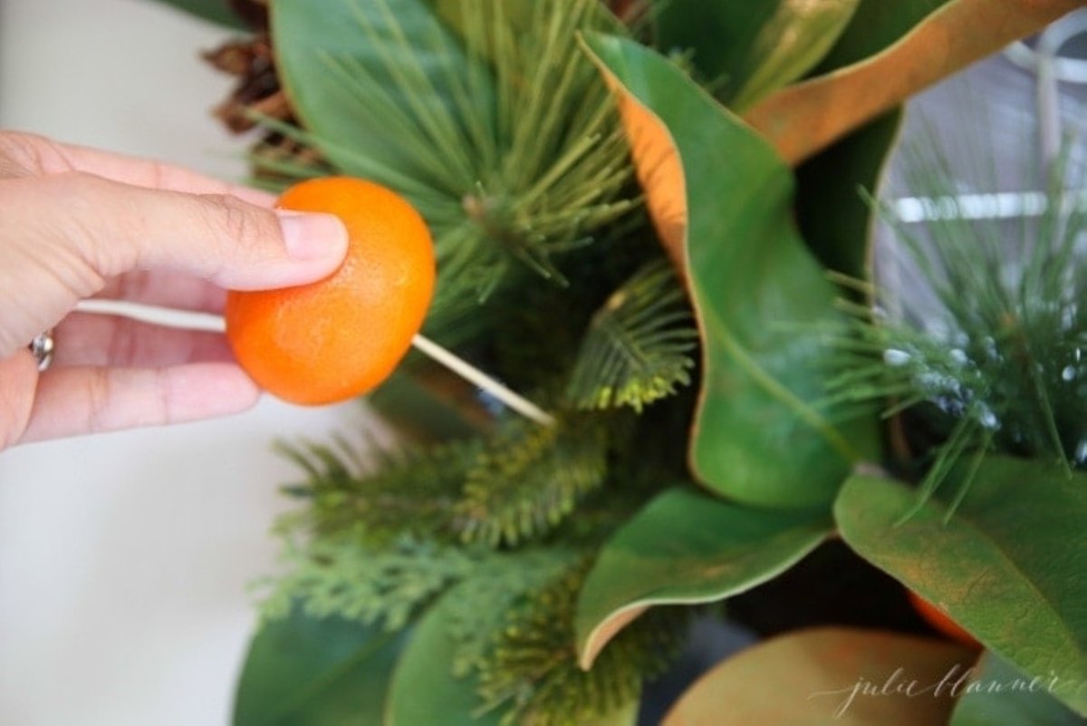 A clementine orange on a pick, being added to a Christmas wreath.