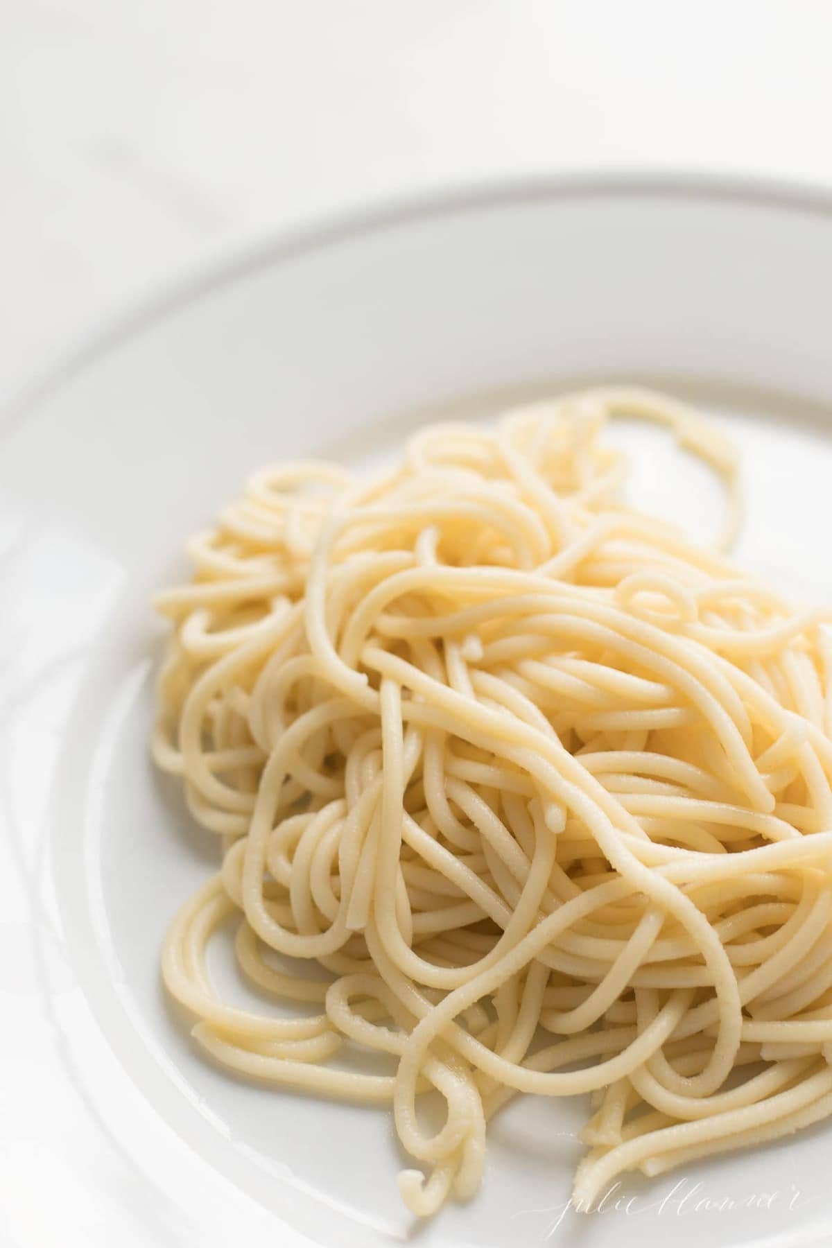 a white plate filled with a swirl of homemade egg noodles
