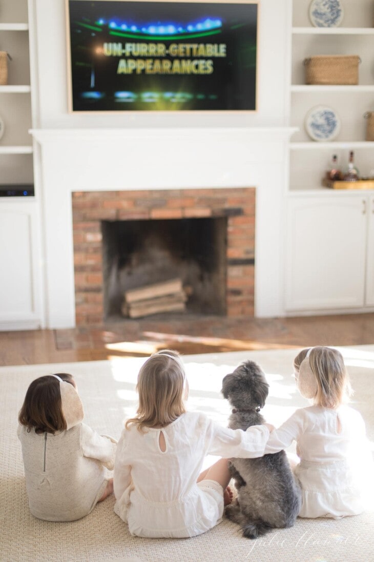 Puppy Bowl Watch Party Ideas, Printables, Recipes, Crafts and More!