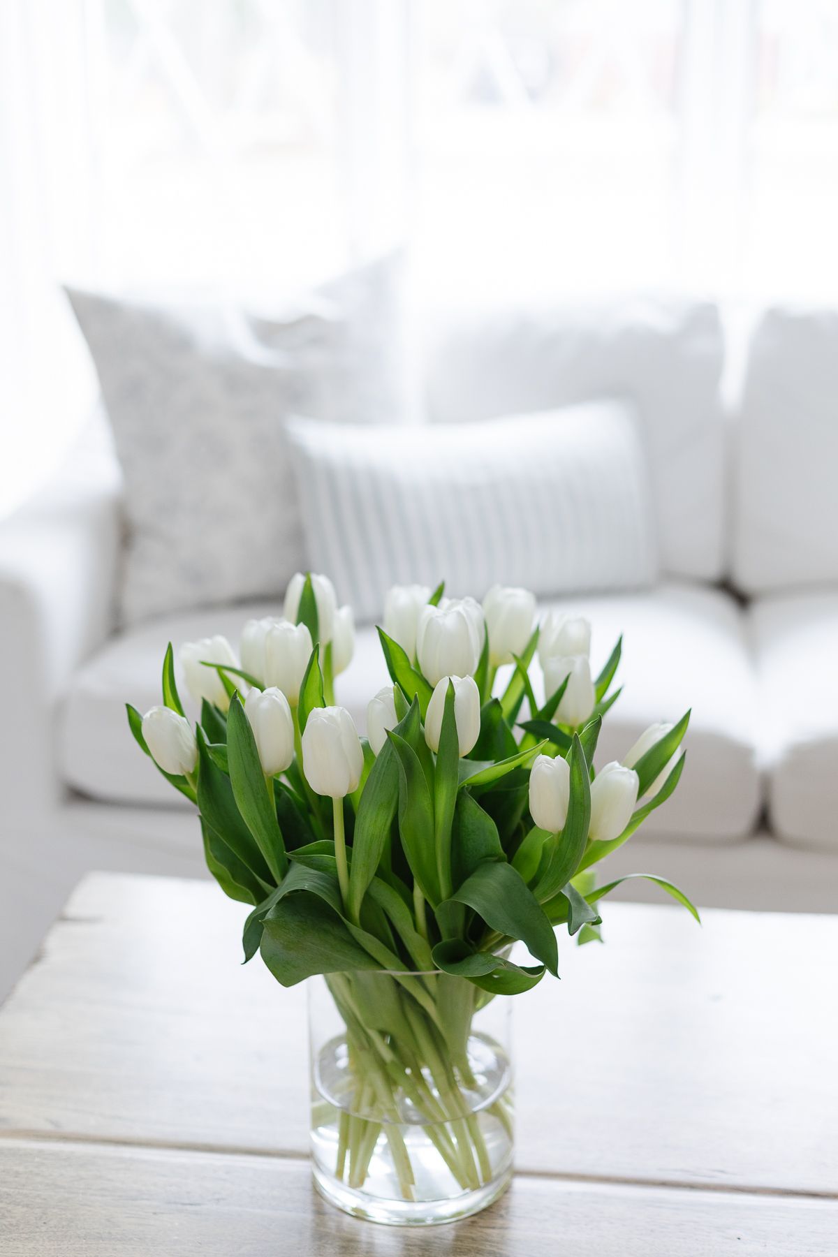 A vase of white tulips on a wooden coffee table.