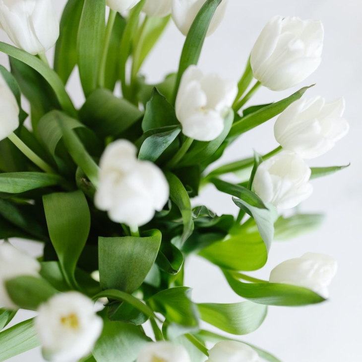 A close up of a white tulip arrangement as part of a tutorial for how to arrange tulips.