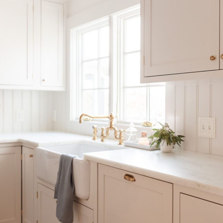 A white farm sink with a brass faucet and eucalytpus in a vase