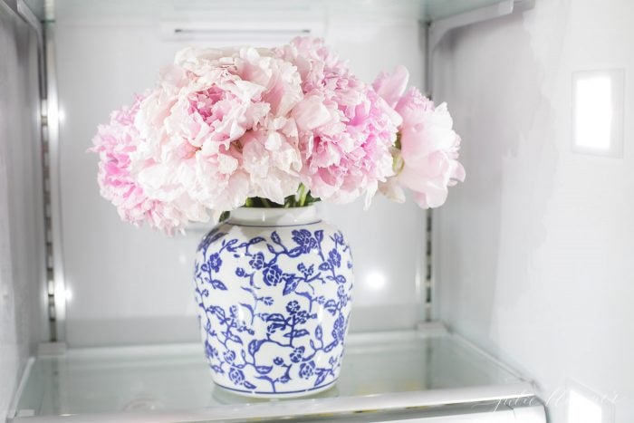 peonies tips