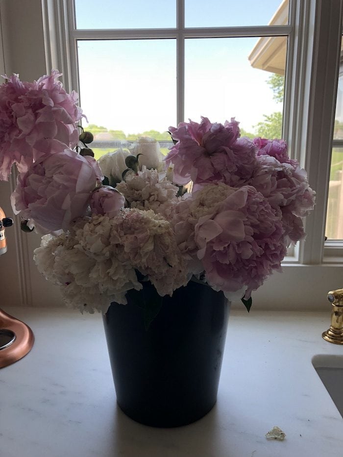 how to bring peonies back to life