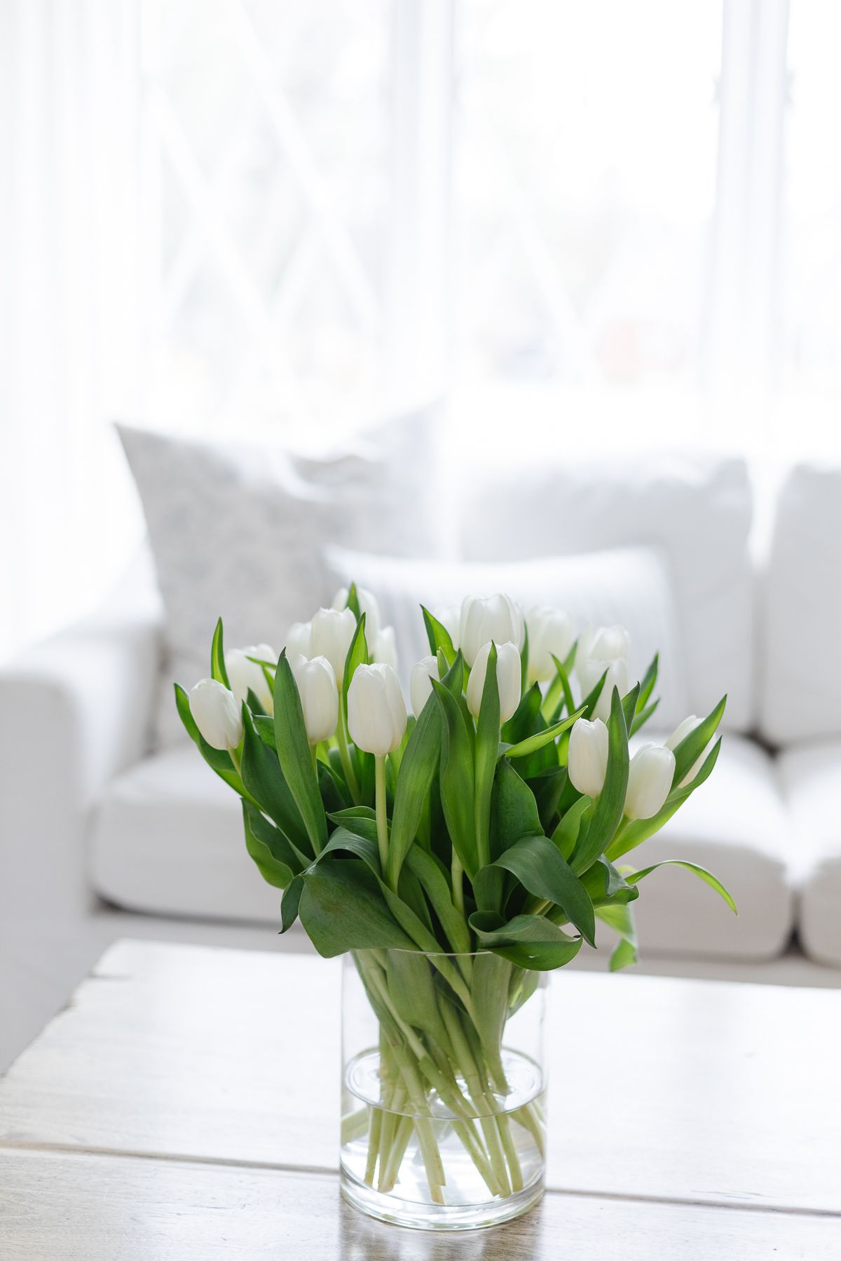 white tulips in a flower vase on a coffee table in a white living room.