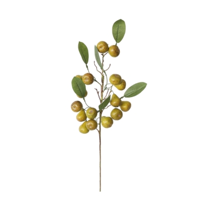 A bunch of berries on a stem against a white background.