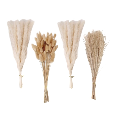 Four different types of dried grasses on a white background.