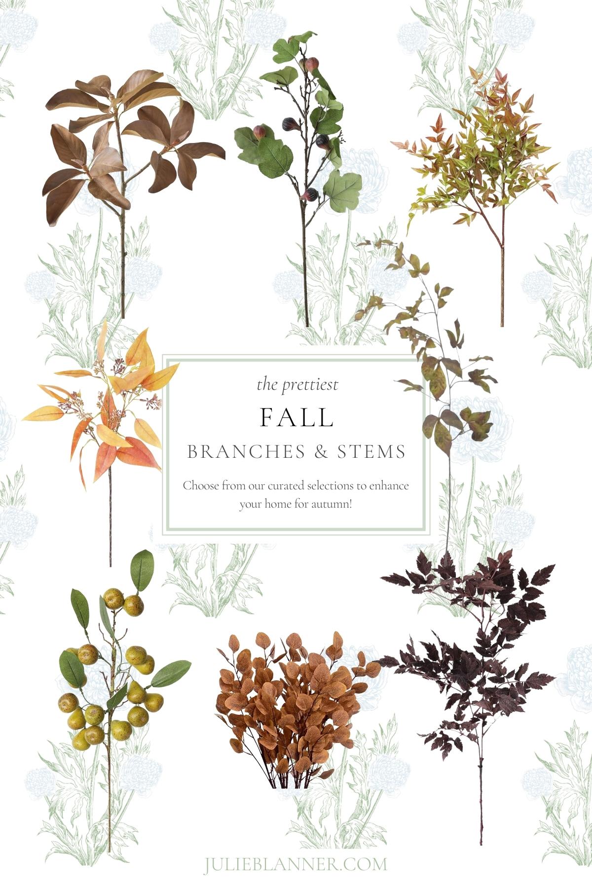 A lineup of fall branches and stems.