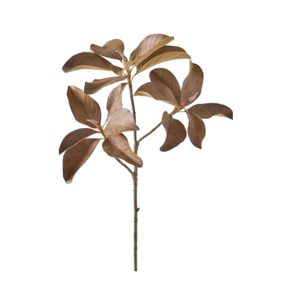 A bunch of brown leaves on a fall stem against a white background.