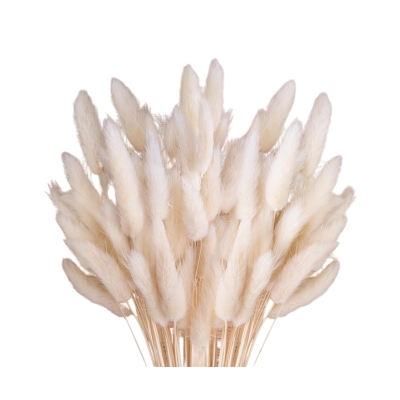 White reeds in a vase on a white background with fall branches.