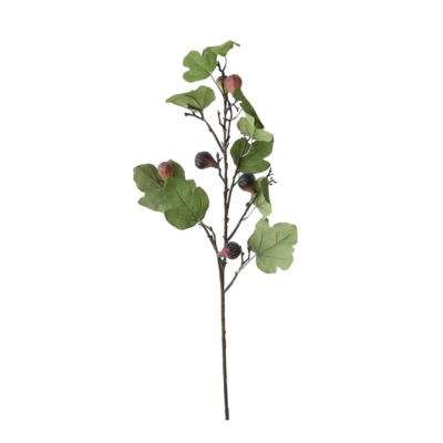 A fall branch with berries and leaves on a white background.