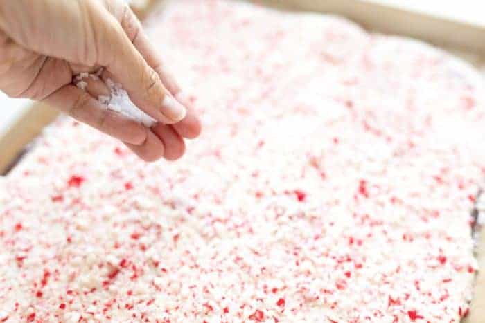 Crushed peppermint going onto fresh peppermint bark in a sheet pan.