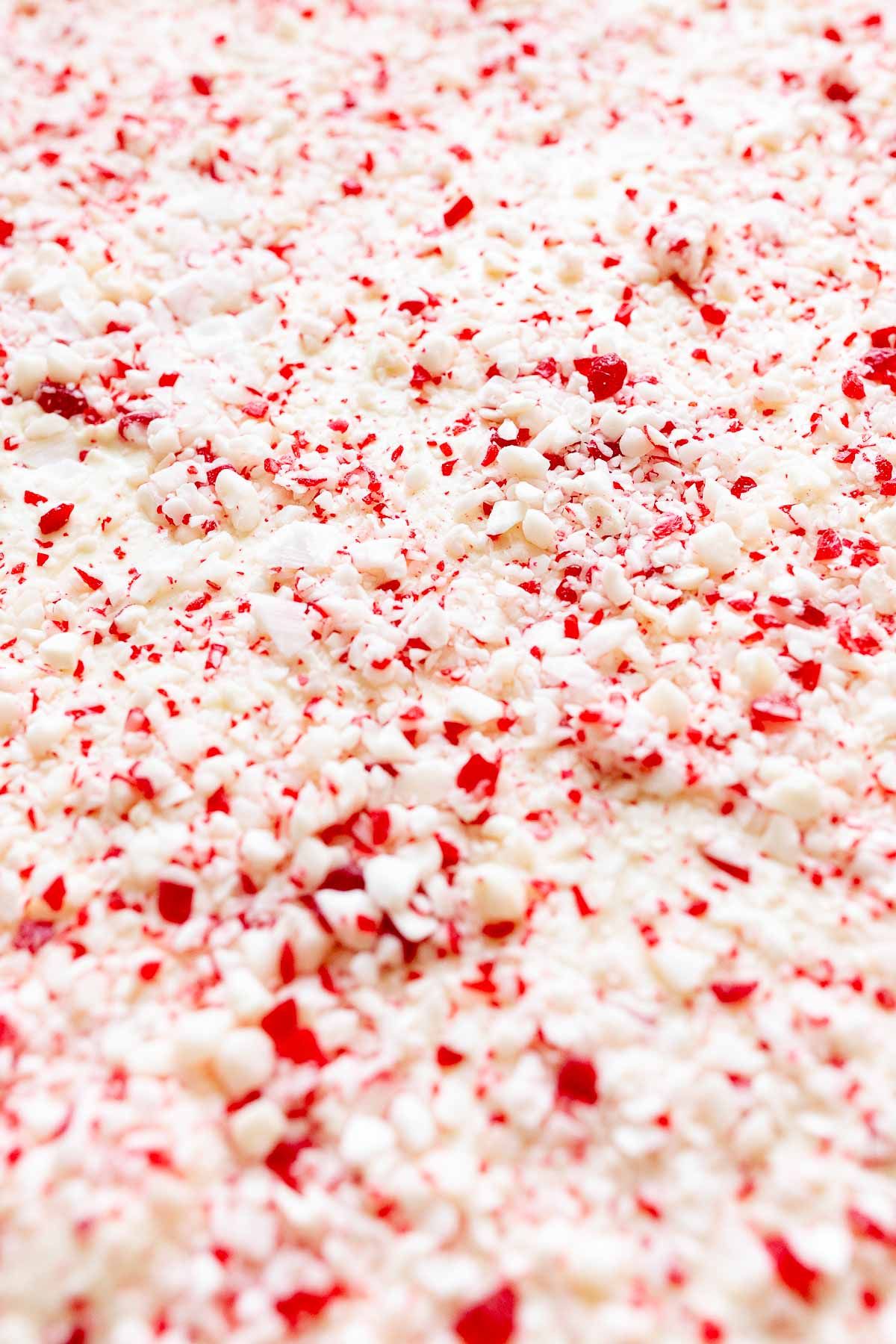 Peppermint bark covered in crushed peppermint on a baking sheet