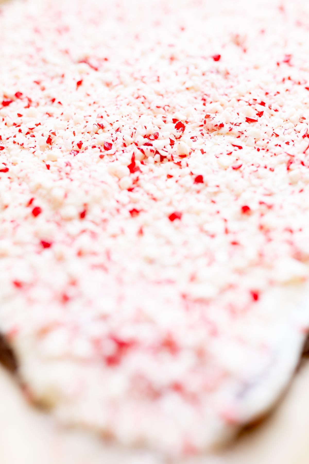 Peppermint bark covered in crushed peppermint on a baking sheet