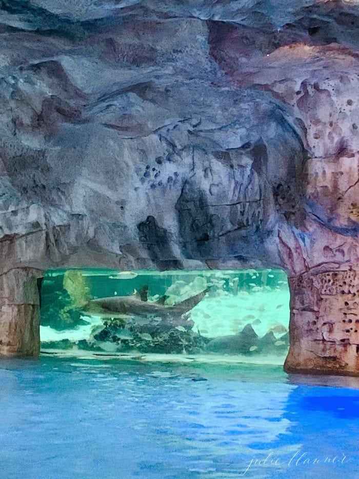 grotto at baha mar