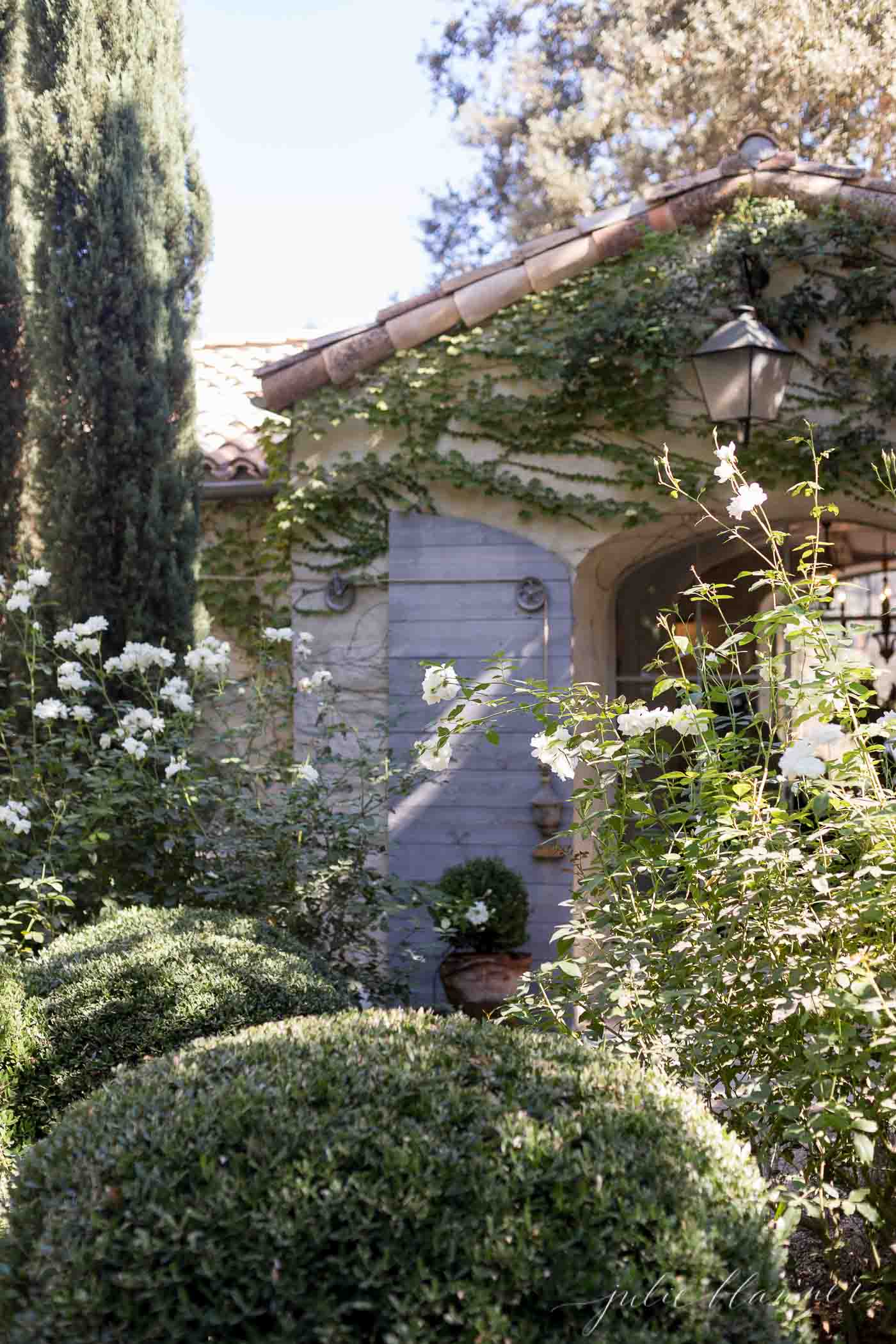 Patina Farm - a cottage with soft blue shutters and roses growing out front. 