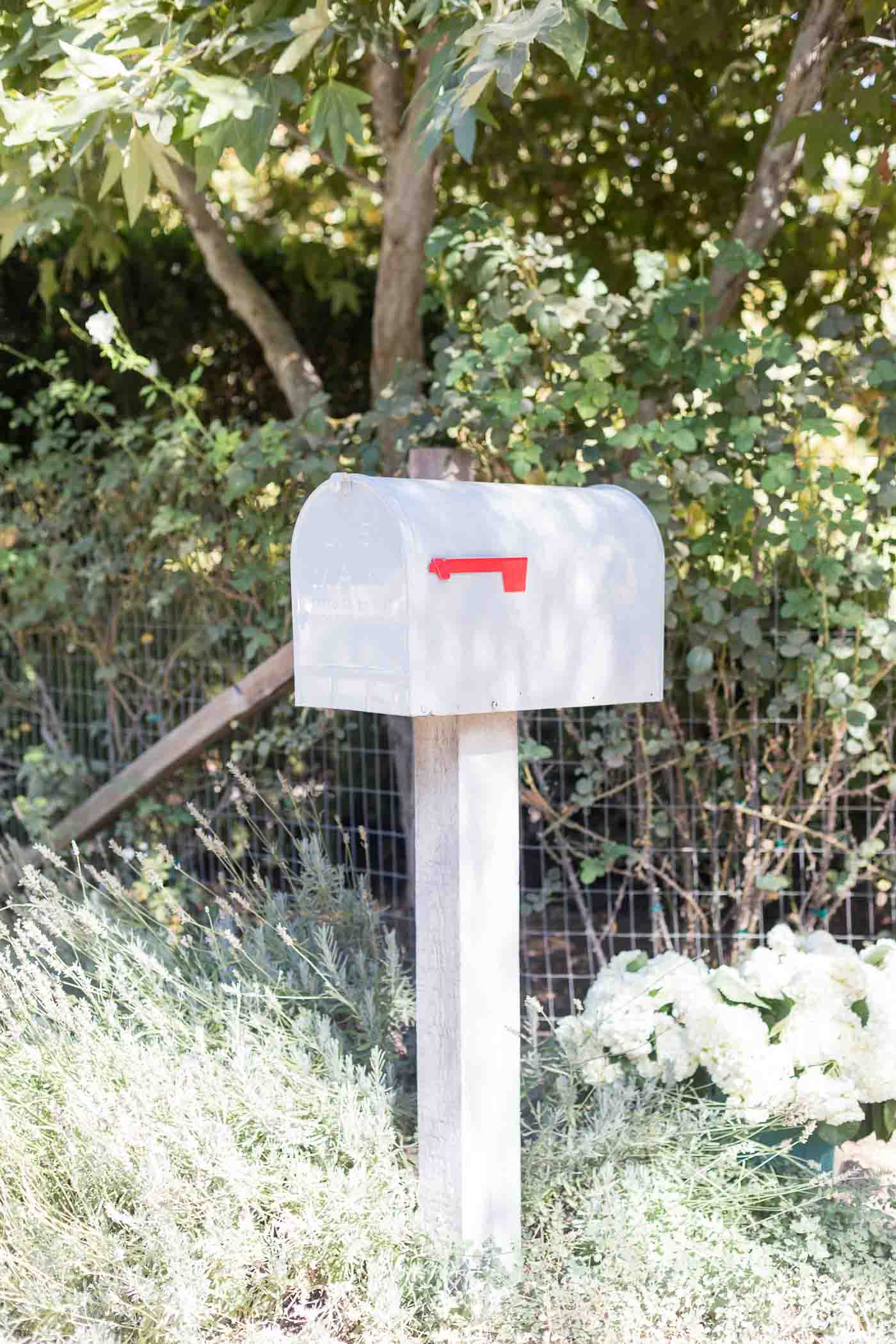 A white mailbox on a wooden stand, greenery in the background
