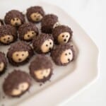 Chocolate and peanut butter buckeye balls shaped into hedgehogs on a white platter.