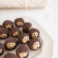 Buckeye Recipe | Chocolate Peanut Butter Balls