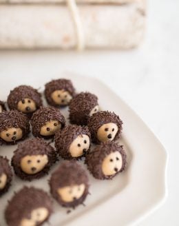 Chocolate Peanut Butter Balls decorated like hedgehogs