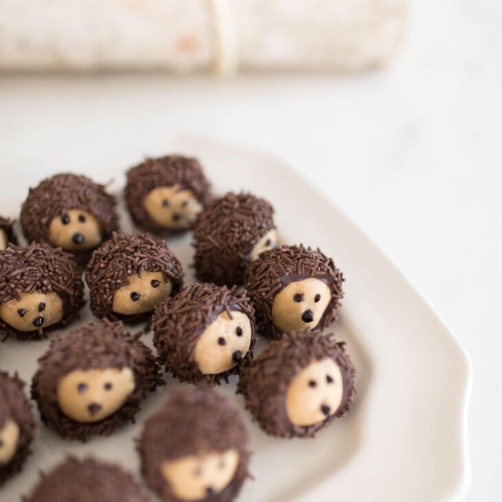 Chocolate Peanut Butter Balls decorated like hedgehogs