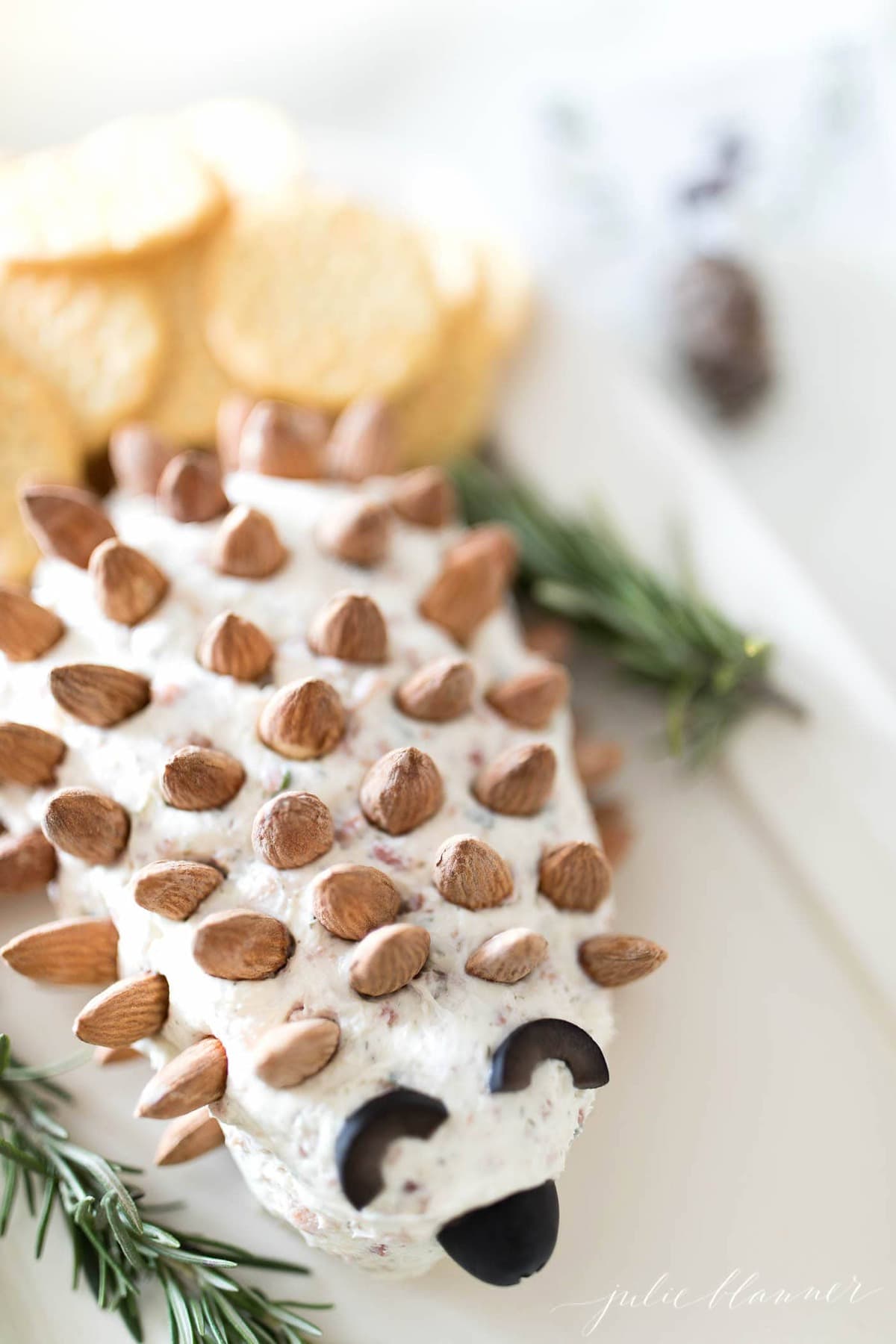baby shower appetizer hedgehog cheese ball