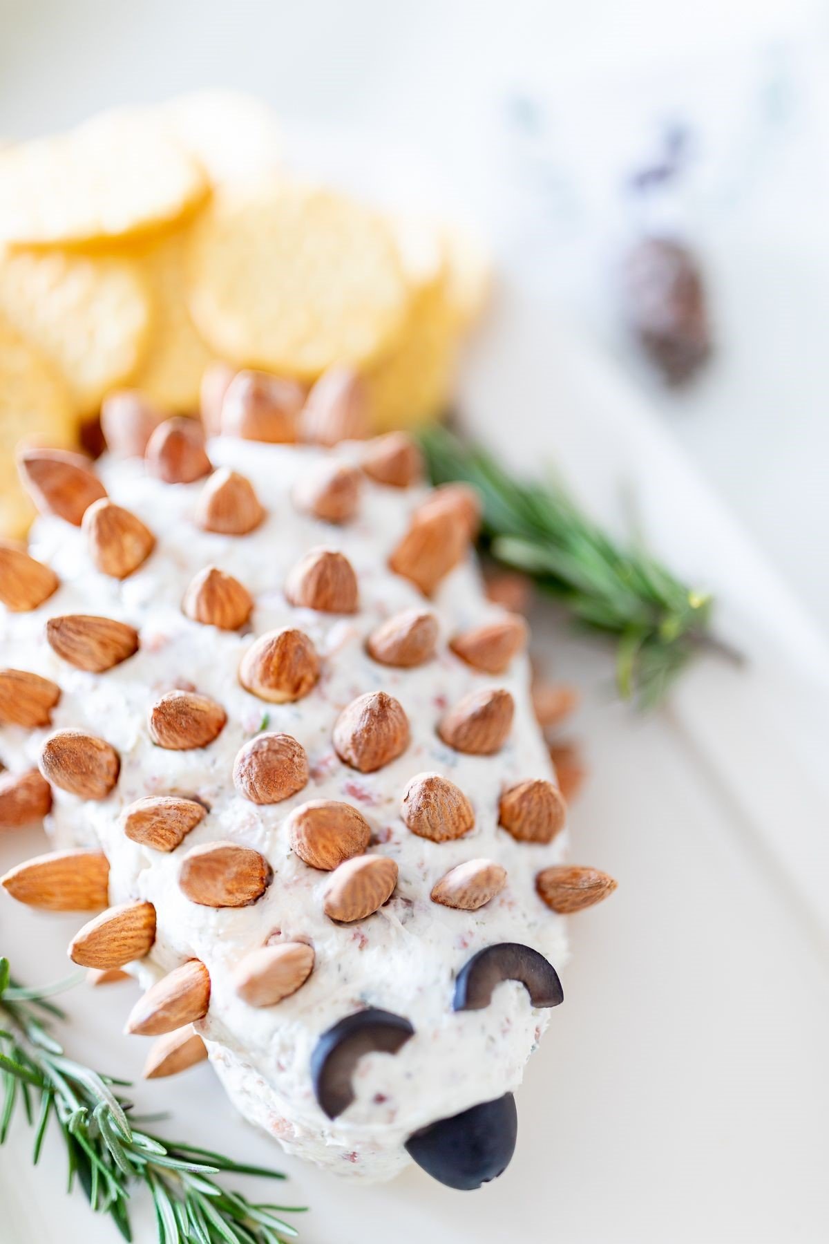 A hedgehog cheese ball on a white plate, garnished with fresh rosemary. 