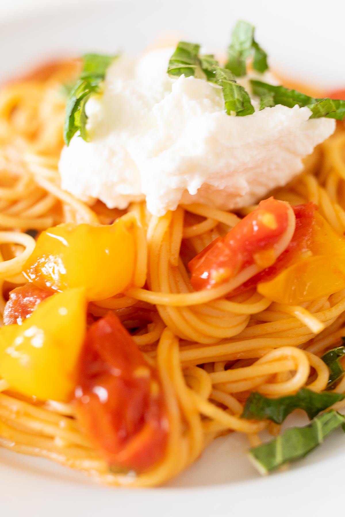 A white plate full of cherry tomato pasta.