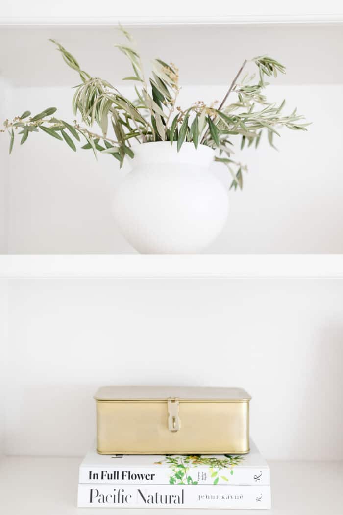 plant and books on shelves