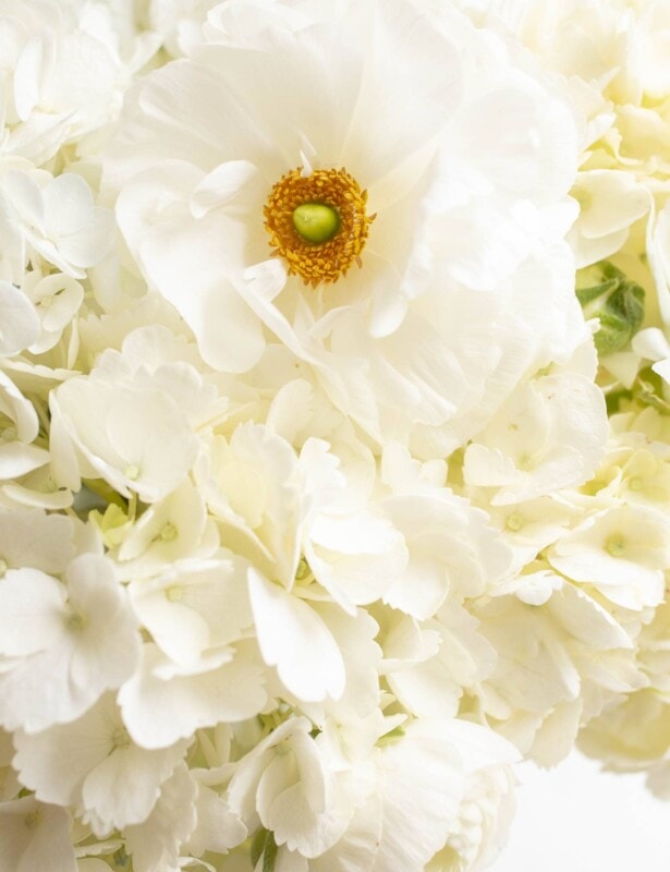 trader joes flowers