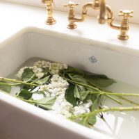 hydrangea soaking in sink to revive them