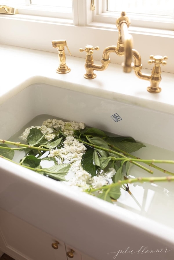 hydrangea soaking in sink to revive them