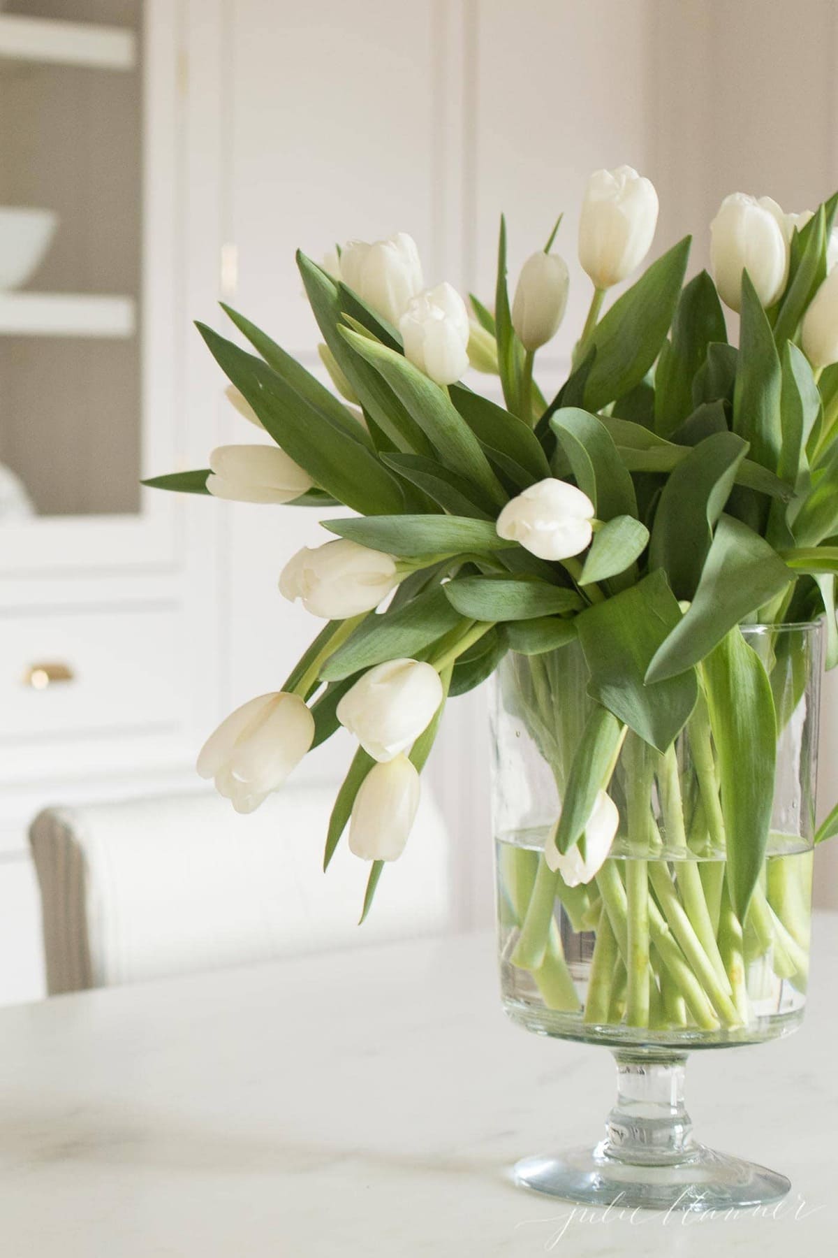 Tulips in a glass vase on a marble kitchen countertop. 