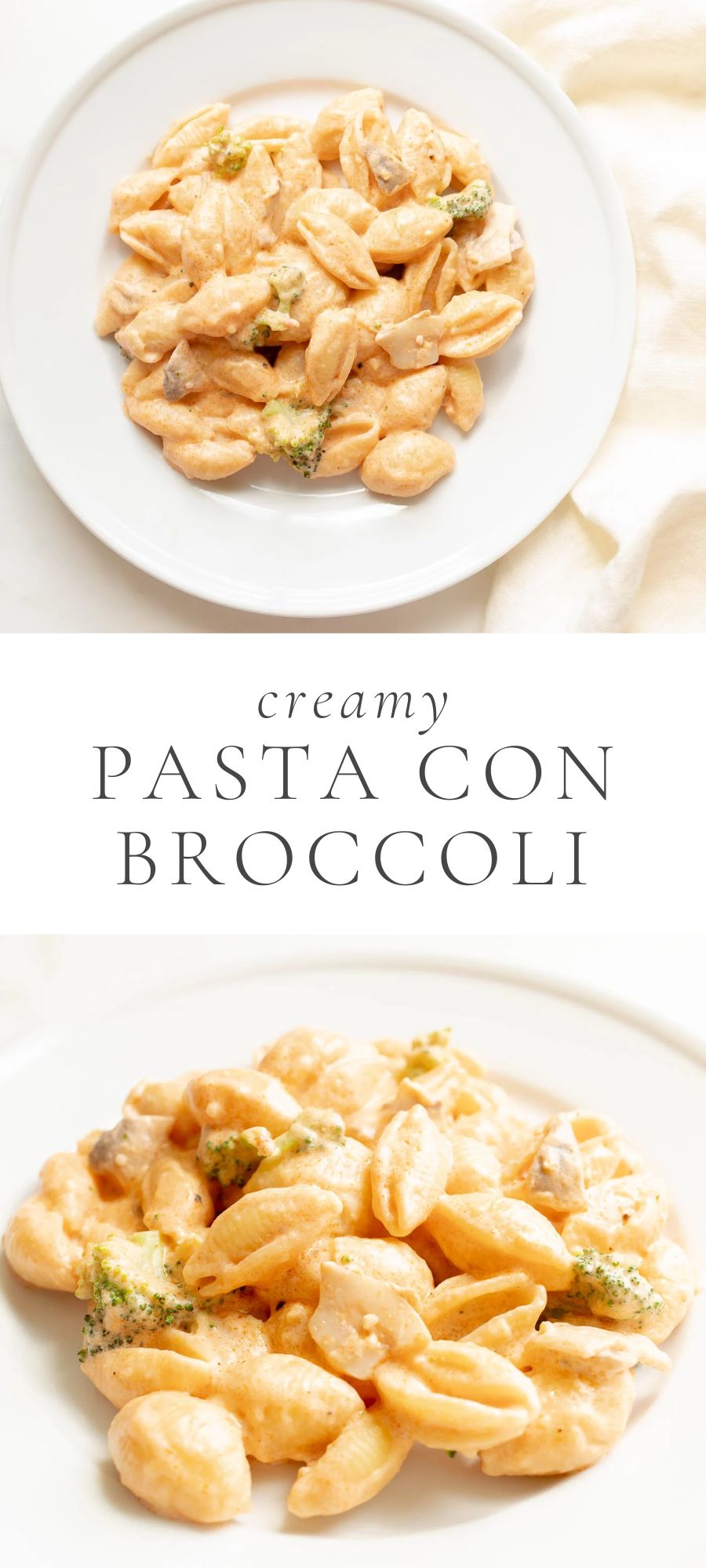 pasta con broccoli with white plates