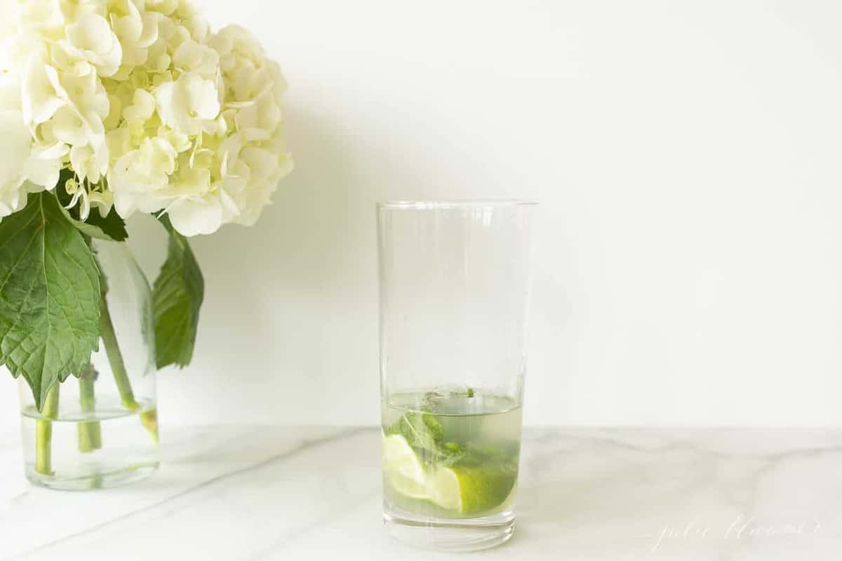 vodka lime and mint in a mojito glass