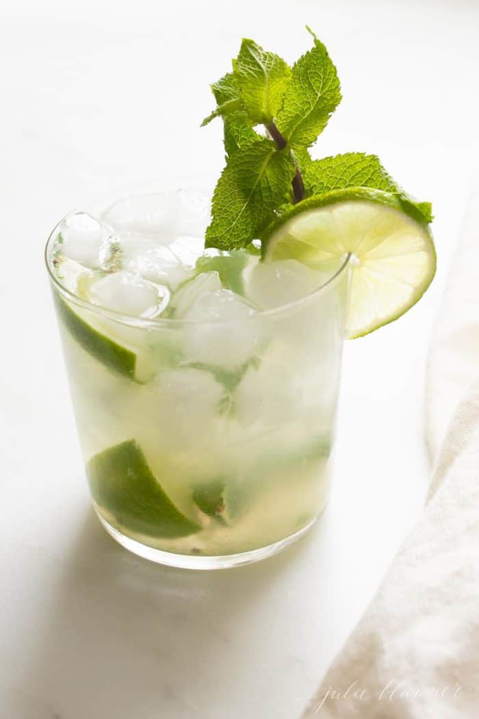 The BEST Skinny Mojito | Julie Blanner