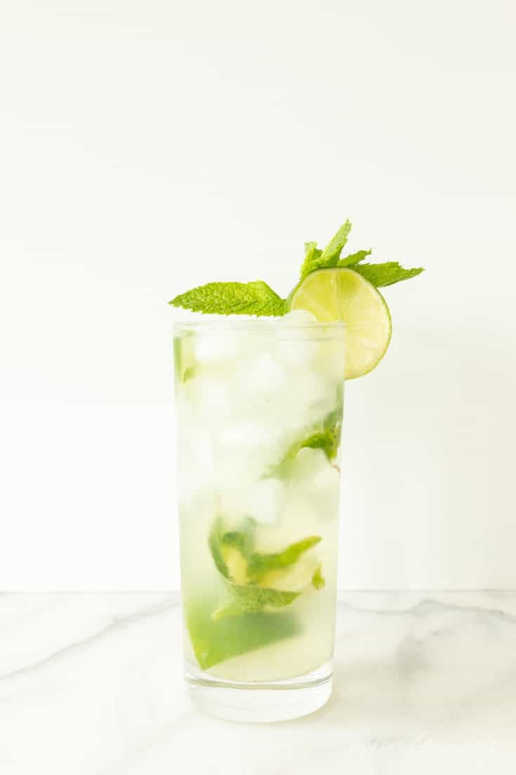 The Best Vodka Mojito 