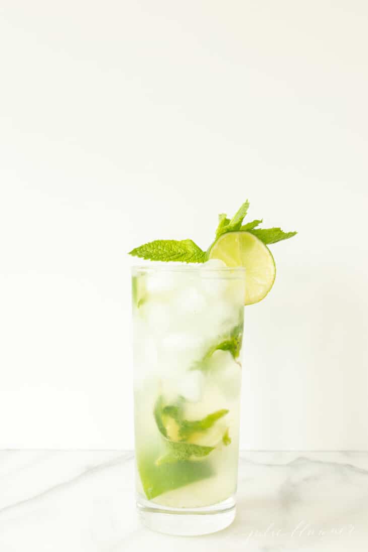 The Best Vodka Mojito Julie Blanner