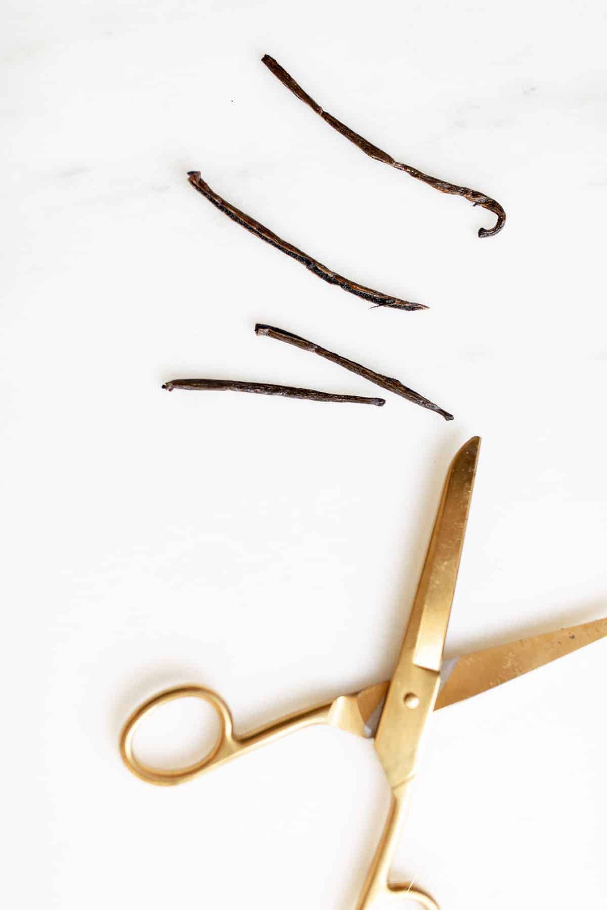 Gold scissors preparing to cut vanilla bean pods. #homemadevanillaextract #homemadevanilla