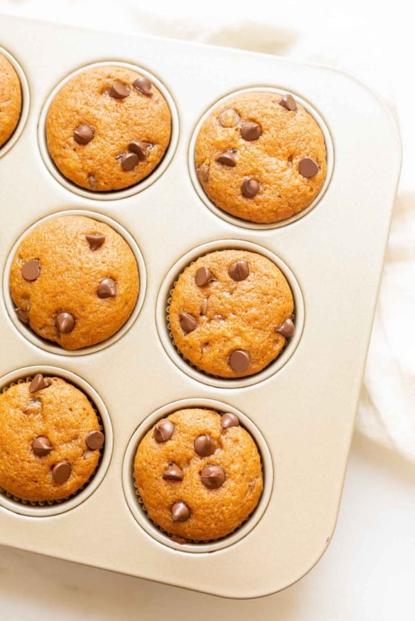 Mini pumpkin chocolate chip muffins in a gold muffin pan.