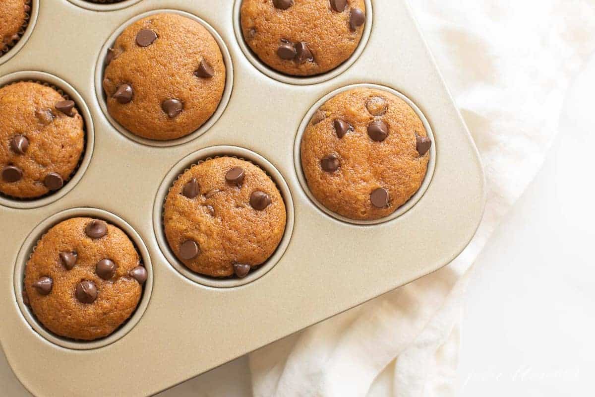 pumpkin chocolate chip muffins in a muffin tin on a counter
