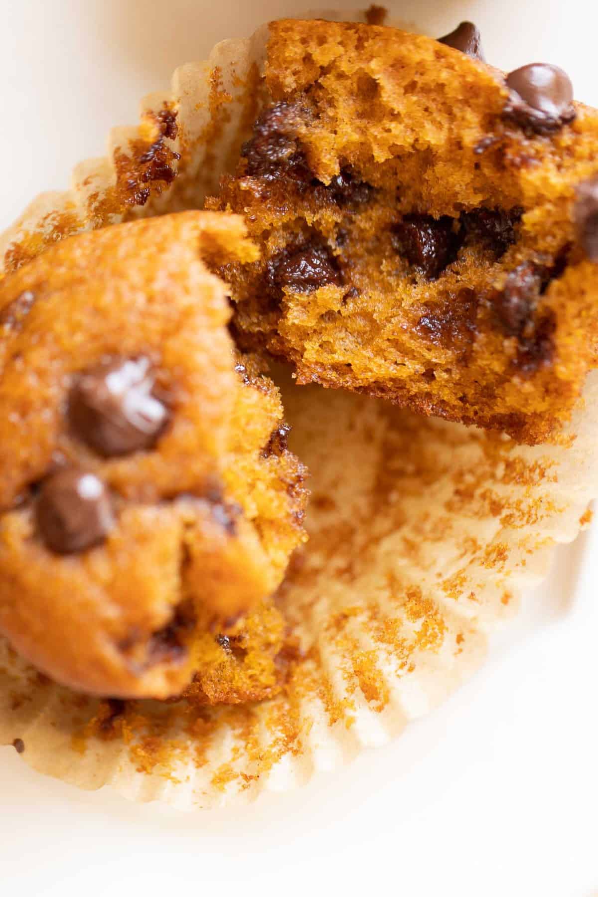 pumpkin chocolate chip muffin split in half