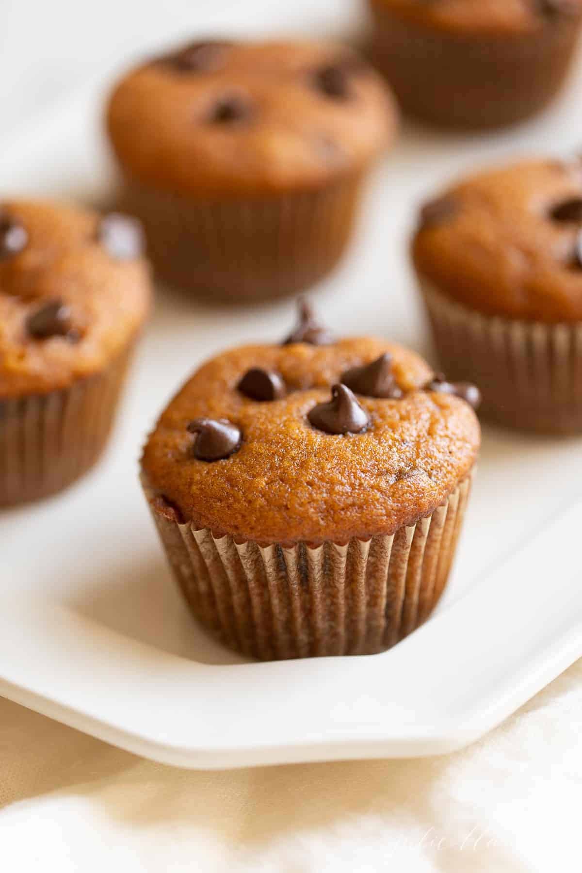 pumpkin muffins with chocolate chips on top on a platter