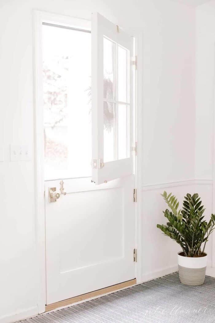 A zz plant in a gray pot by a dutch door in a white room.