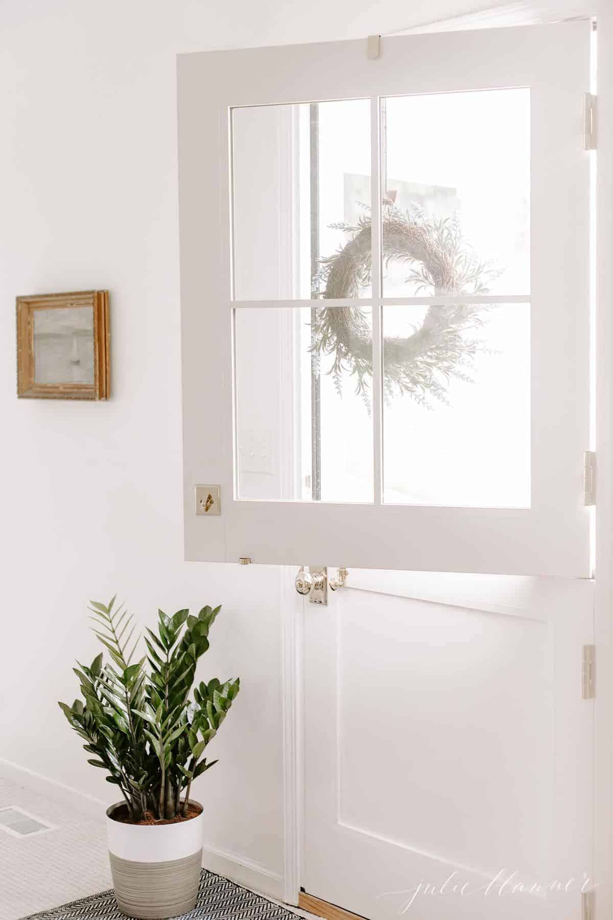 A white exterior dutch door, top open, with a zz plant on the floor by the door. #zzplant