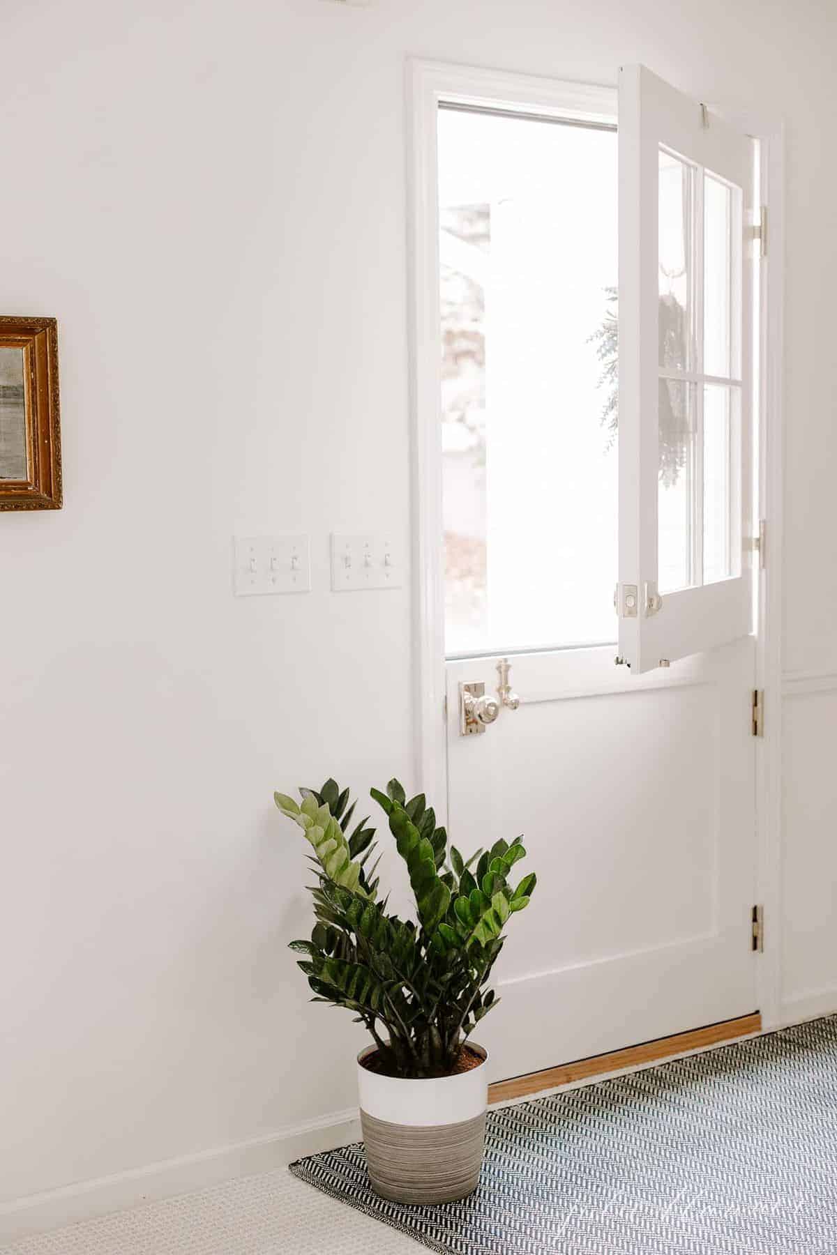 A white dutch door, top open, with a small potted plant to the side. 