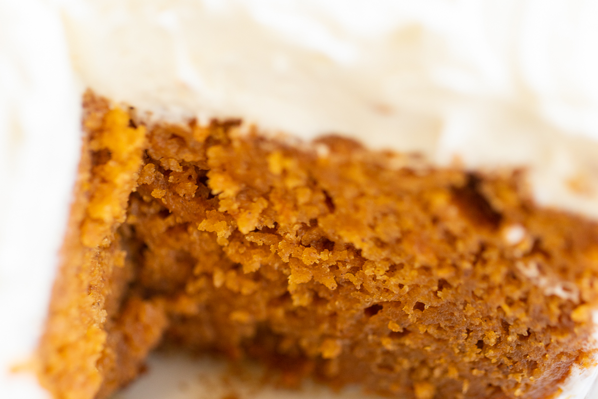 A close up of a slice of homemade pumpkin cake.