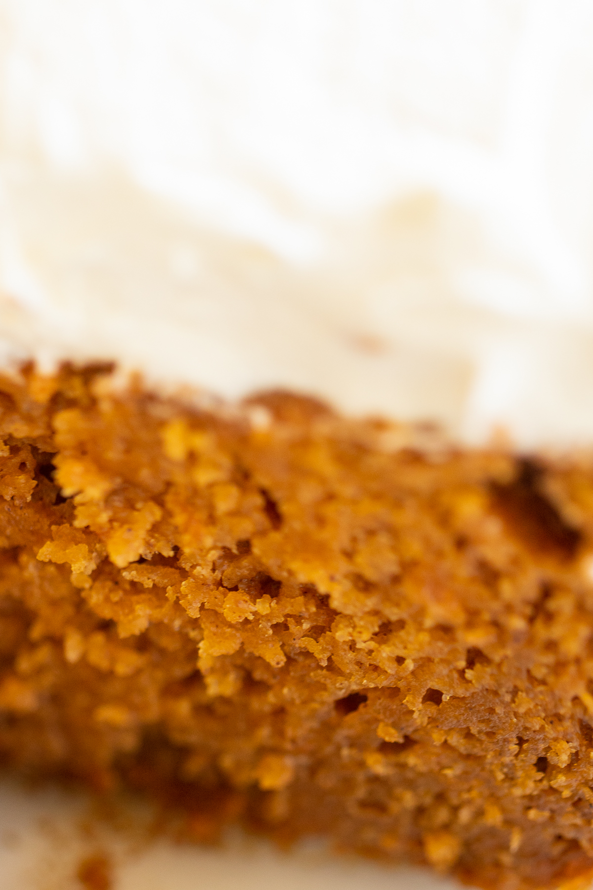 A close up of a scrumptious pumpkin cake.