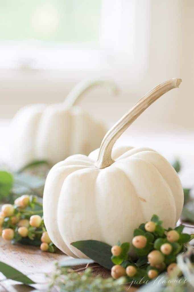 Mini white pumpkins and berries on a table.